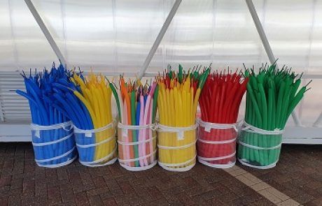 BALLOON TWISTING WORKSHOP